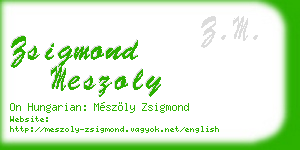 zsigmond meszoly business card
