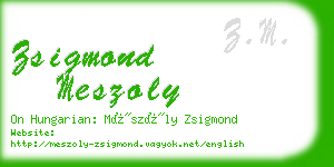 zsigmond meszoly business card